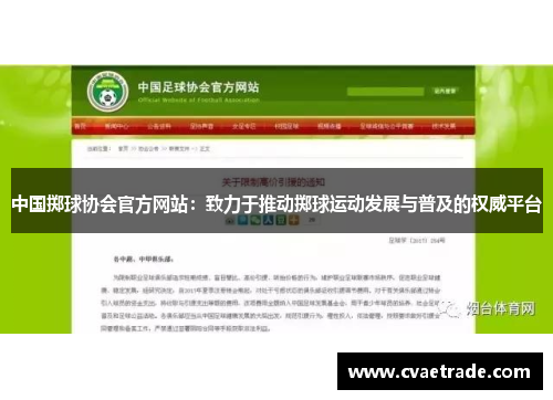 中国掷球协会官方网站：致力于推动掷球运动发展与普及的权威平台